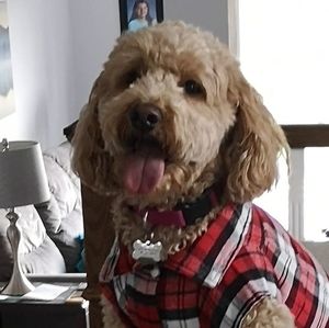 Meet your Posher, Karen